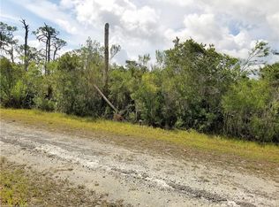 3110 Cacao Rd, Lake Placid, FL 33852