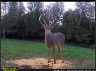 Lost City Spur Rd, Lewisburg, KY 42256