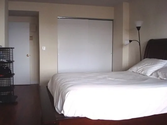 Rented by Citi Habitats | media 47