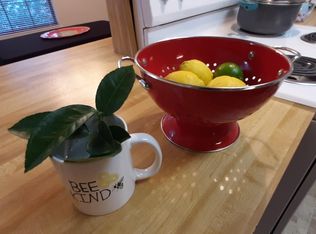 169 Locke St #C, Tallahassee, FL 32303