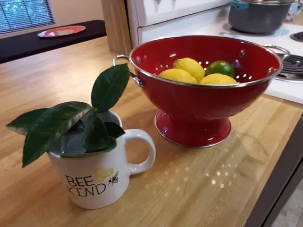 169 Locke St #C, Tallahassee, FL 32303