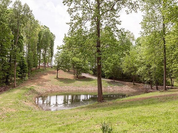 12th image of this home