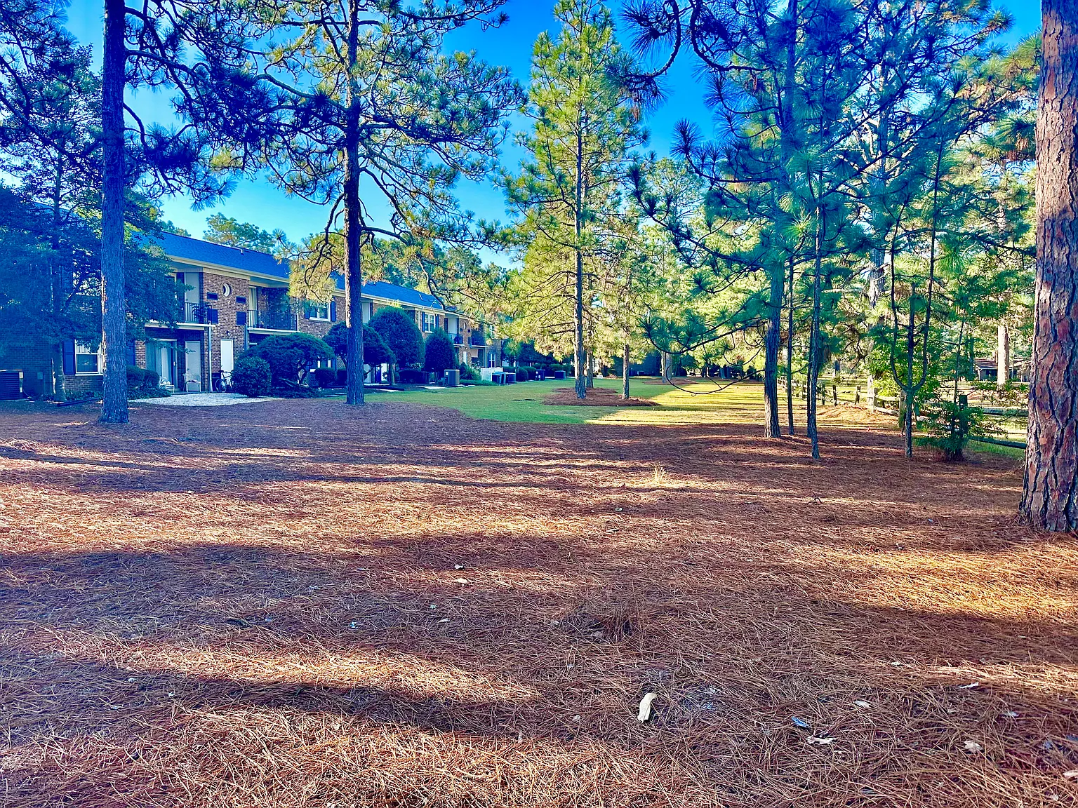 353C Driftwood Cir — Photo 3