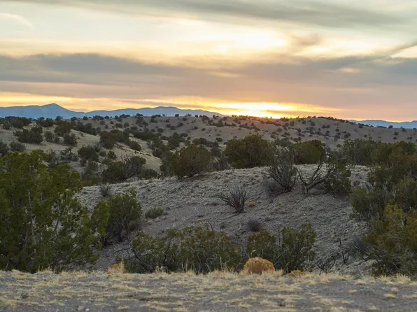 Abbe Springs Ranches Lot 115, Magdalena, NM 87825
