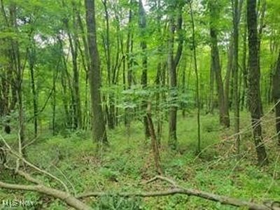 Kerns Dr, Bolivar, OH, 44612