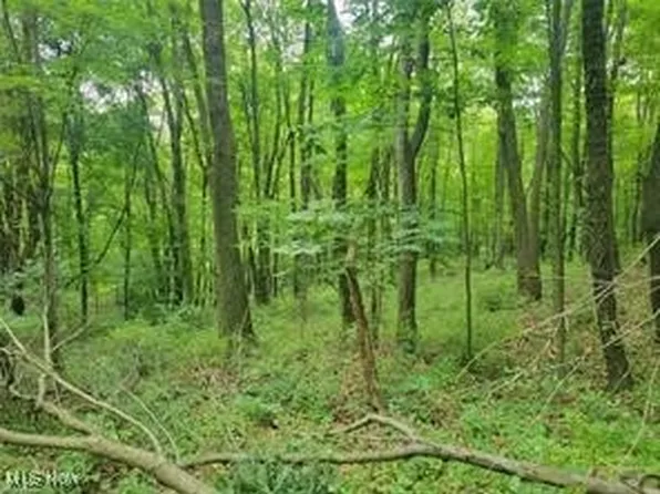 Kerns Dr, Bolivar, OH 44612
