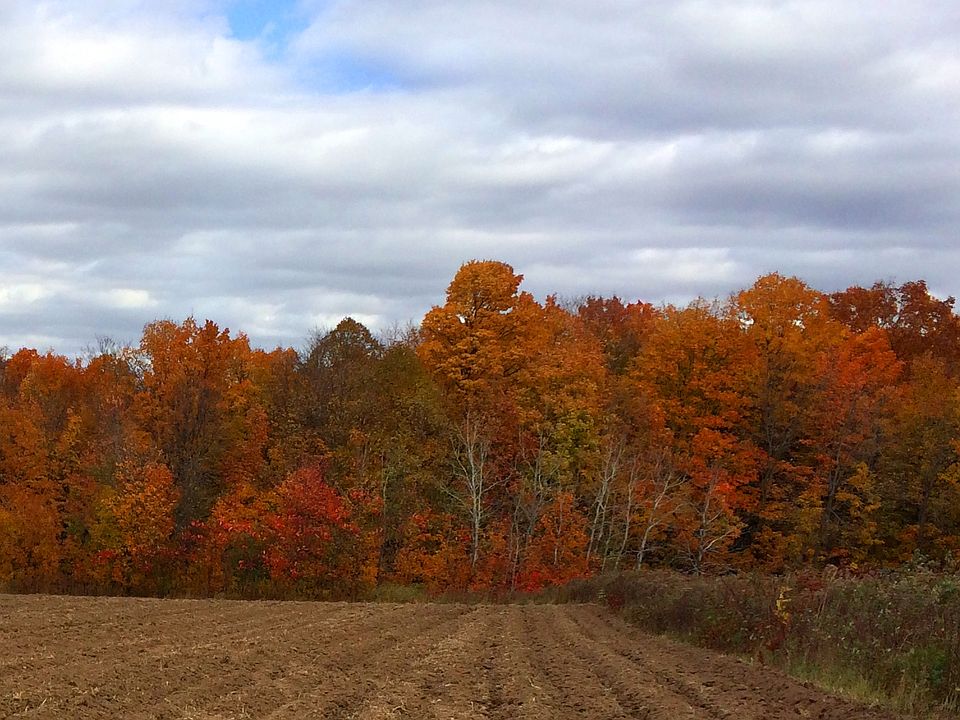 1st image of 9825 Evergreen Drive #Lot 1