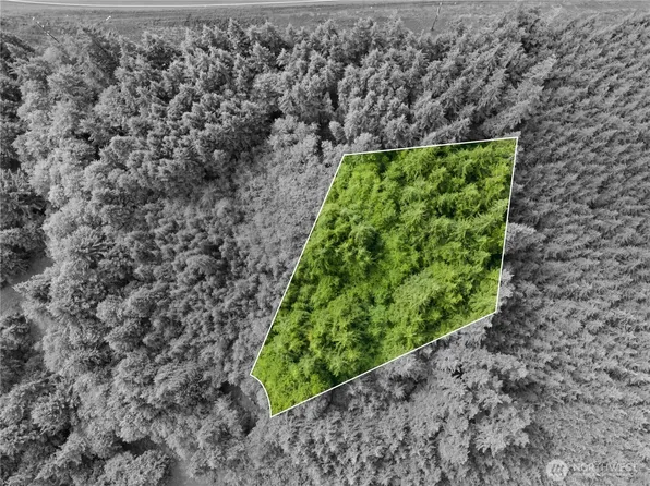 0 Lot 10 Pacific Court, Hoquiam, WA 98550