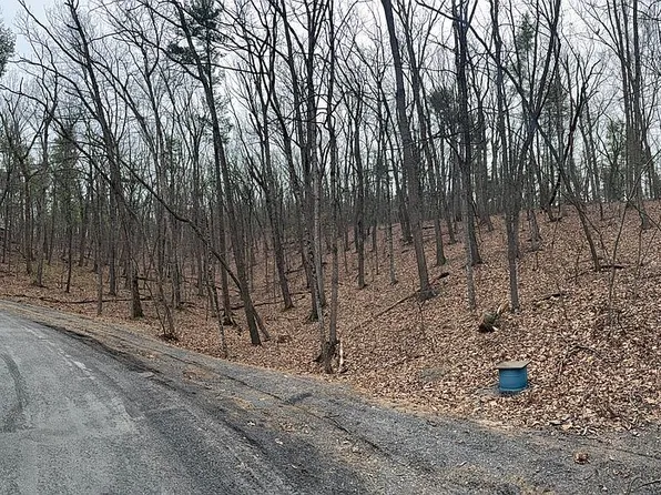 0-B Sec Bryce Mountain Fairway #6-29, Basye, VA 22810