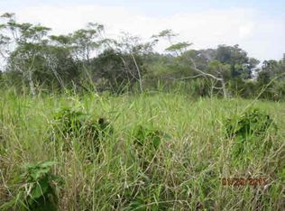 LOT 43 Lot 43, Volcano, HI 96785