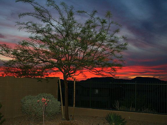 Great sunsets out back