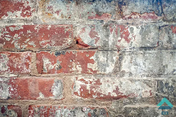 Rented by EXR | media 50