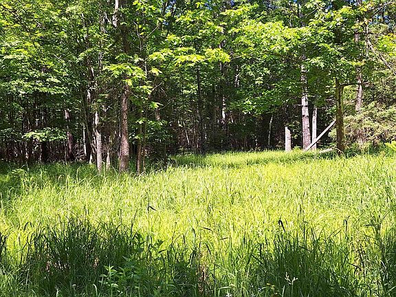 5th image of xxx South Shore Rd Lot 2, Block 2 South Shore Woodlands