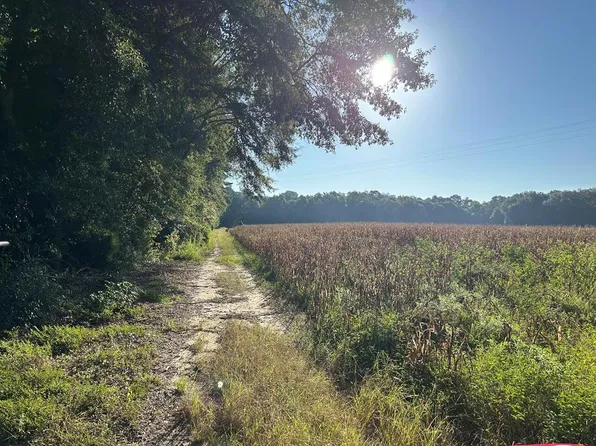 0 Highway 67, Midland City, AL 36350