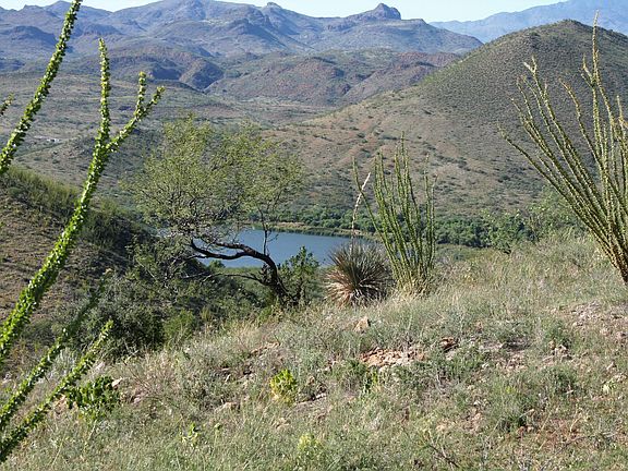 3rd image of 50 Camino Los Vientos #1/1