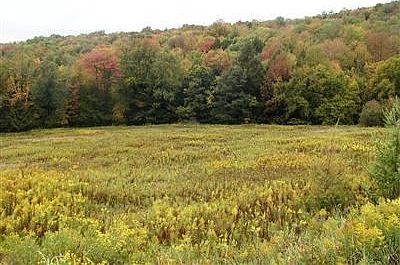 3rd image of 889 County Road 3