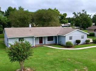 318 Hollow Tree Dr, Seffner, FL 33584