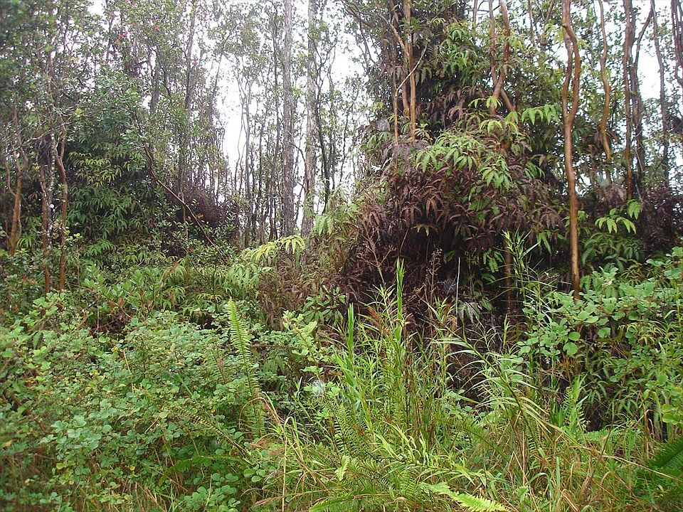 2nd image of Omeka Lot 14