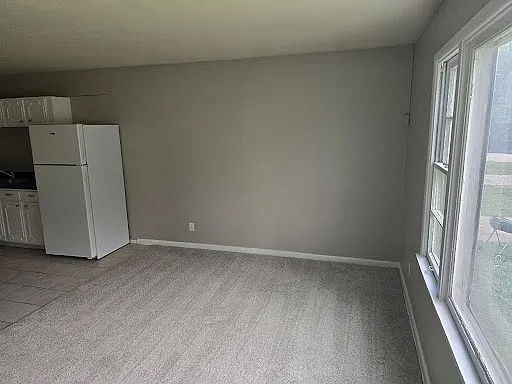 1718 E 89th St- Unit 1 — Photo 3