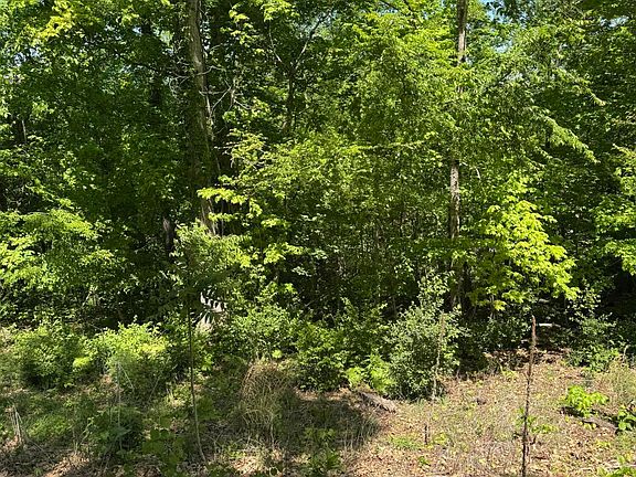 3rd image of LOT 44 Cliffwood Dr