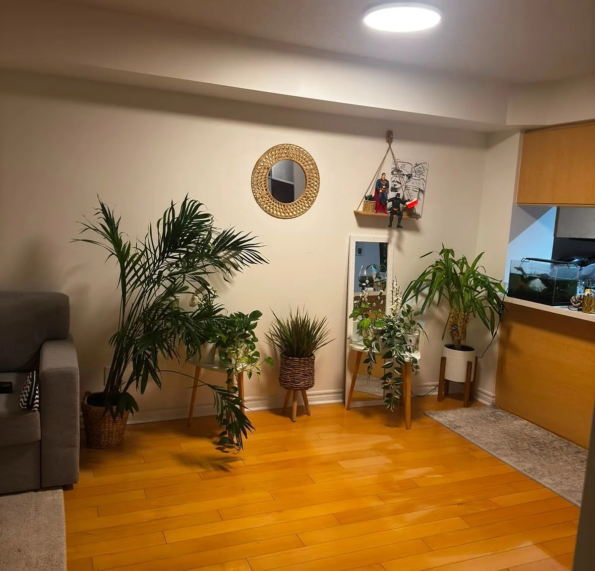 1 bed, $2,400 — Photo 3