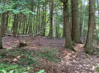 0 Halfmoon Pond Rd, Grafton, NH 03240