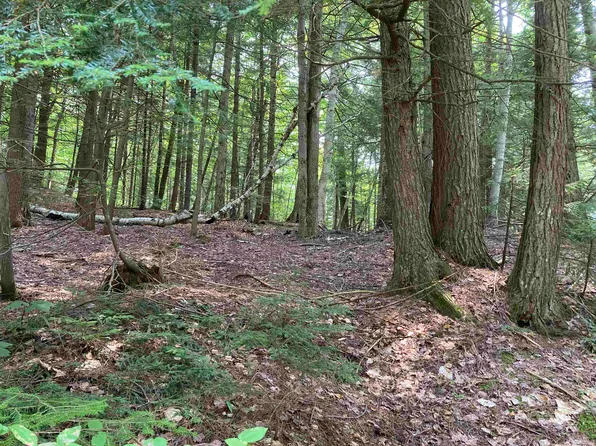 0 Halfmoon Pond Road, Grafton, NH 03240