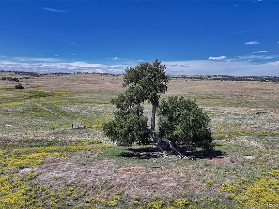 5th image of Fiddleback Ranch Road