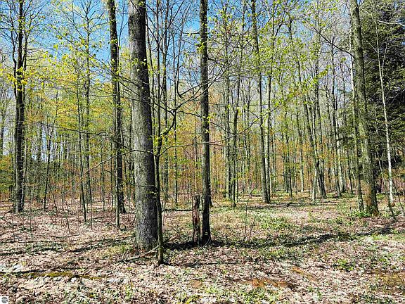 5th image of 160 Hidden Meadow Trl