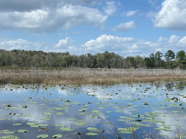 SE 175th Ct Lot 3, Ocklawaha, FL 32179