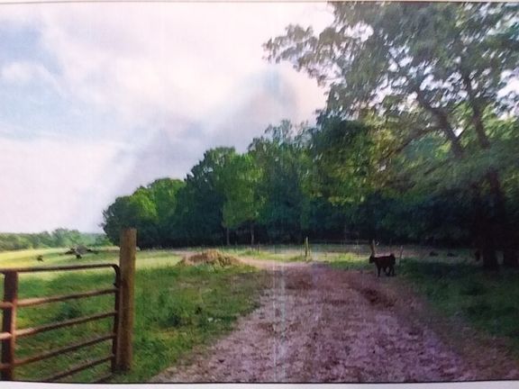 4th image of Mallory's Ford Rd