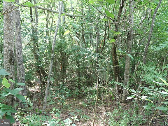 5th image of Marye Rd