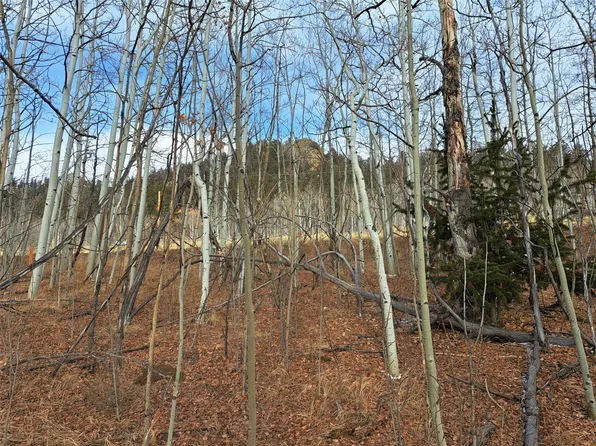 503 Sugar Loaf Ln, Jefferson, CO 80456