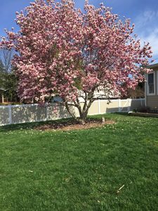 1504 W 7th St, Frederick, MD, 21702