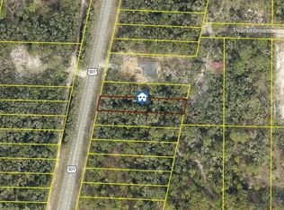 LOT 28 Treiman Blvd LOT 28, Webster, FL 33597
