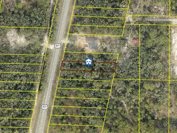 LOT 28 Treiman Blvd Lot 28, Webster, FL 33597