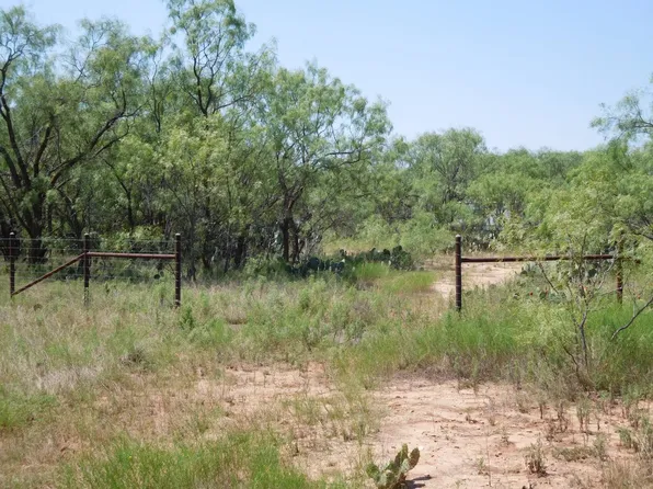 6245 Highway 83, Winters, TX 79567