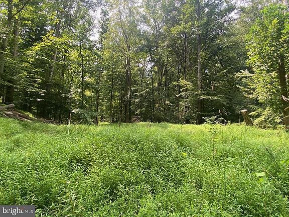 3rd image of 500 Holly Rd