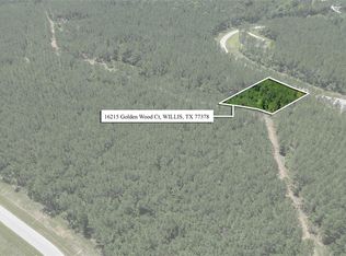 16215 Golden Wood Ct, Willis, TX 77378