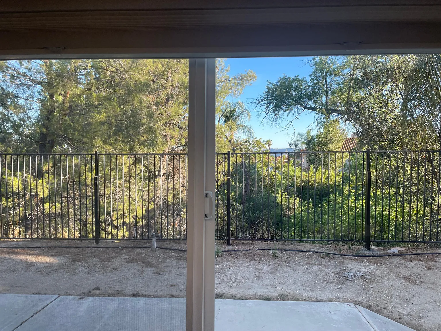 36137 Saint Raphael Dr — Photo 4