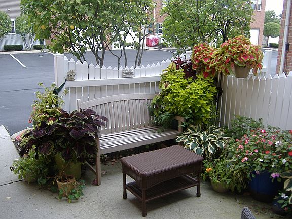 Charming Patio
