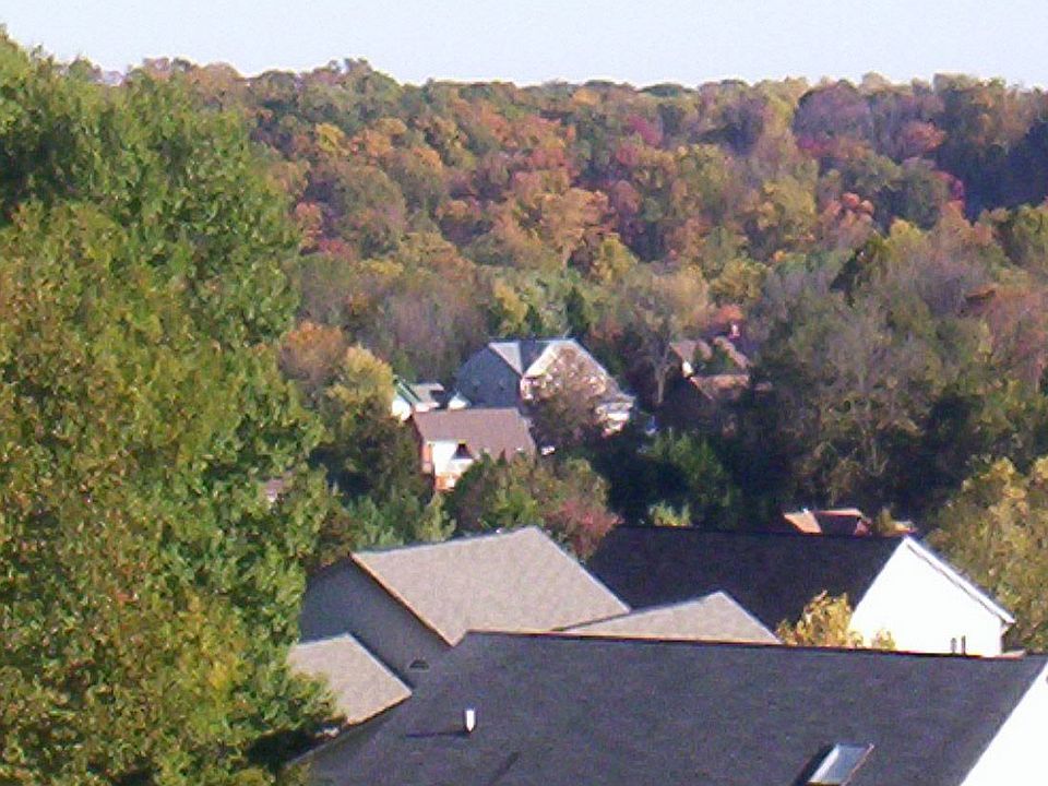 Autumn leaves