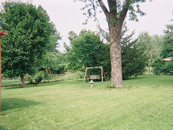 Beautiful big back yard