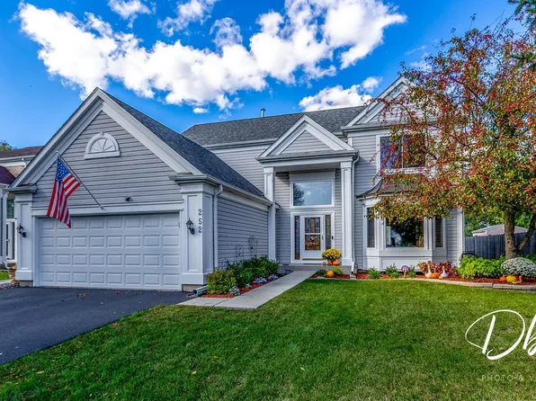 252 Carters Grove Ct, Grayslake, IL 60030