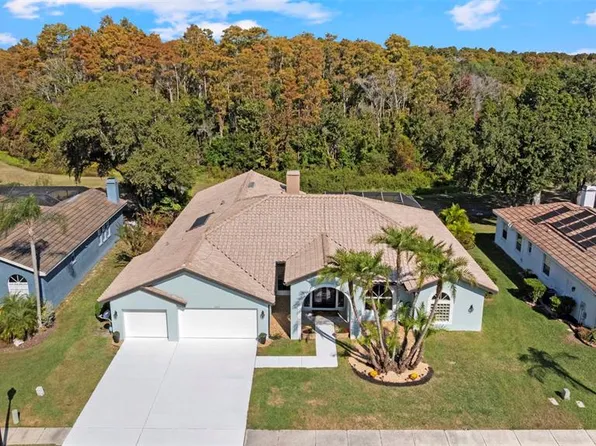 1222 Berkshire Ln, Tarpon Springs, FL 34688
