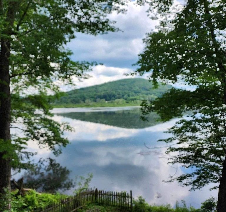 (Undisclosed Address), Oneonta, NY 13820 MLS R1487503 Zillow