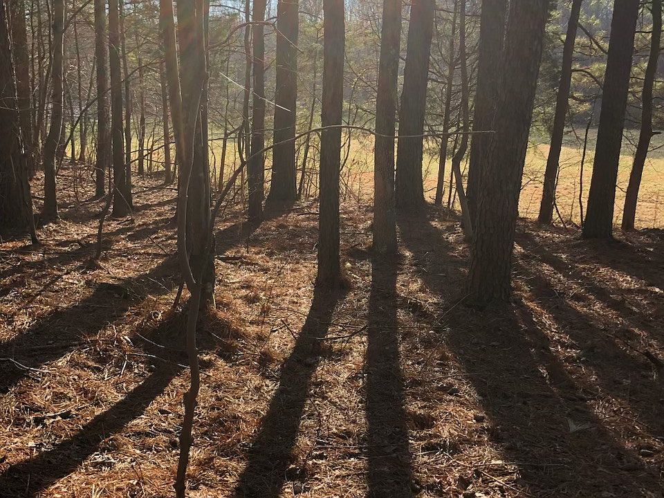 2nd image of 1066 Bold Springs Rd