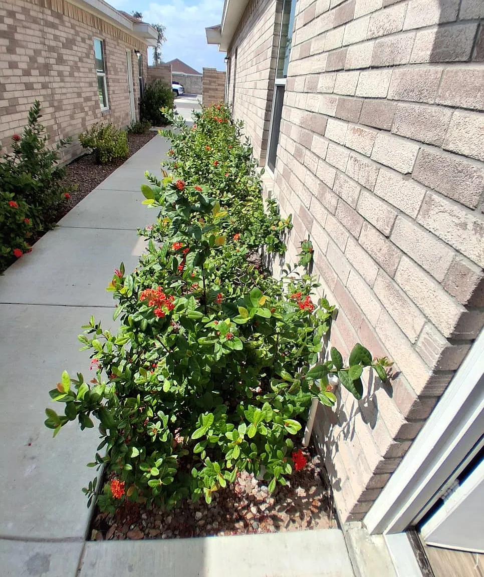 2 bed, 2.0 bath, 860 sqft, $950 — Photo 3