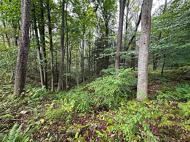 Property photo 27