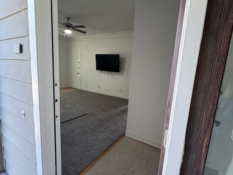 Entrance door
